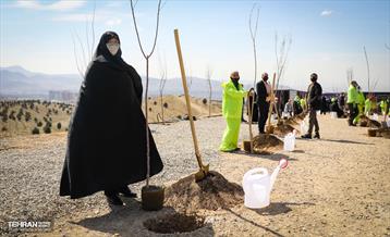 نهال کاری شهردار تهران و رئیس جمهور به مناسبت روز درختکاری 6