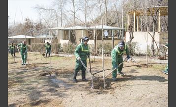 آیین درختکاری با حضور دکتر بطحایی وزیر آموزش و پرورش 2