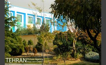 بوستان بنفشه 7