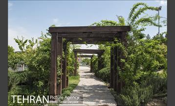 بوستان آزادگان 28