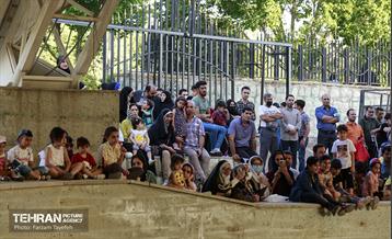 برگزاری جشن بزرگ سه هزار نفری  میلاد حضرت امام رضا(ع) 13