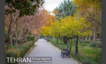 پاییز پارک شهر 24