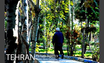 شهرک صدرا 31