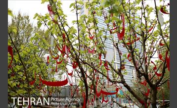 اکران هنرهای محیطی نوروزی در بلوارکشاورز 7