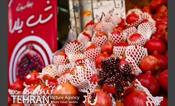 خرید شب یلدا 6