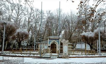 روز برفی در منطقه 8 2