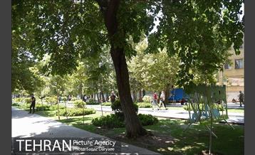 محله تجریش 31