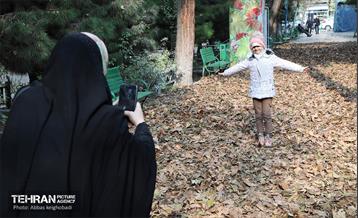 ضیافت طعم و رنگ در منطقه ۹ 16