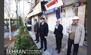 مراسم کاشت درخت در خیابان ولیعصر  7