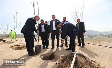 بهره‌برداری از فاز دوم طرح جنگلکاری کمربند سبز 12