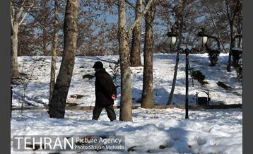 فصل زمستان در بوستان ملت 14