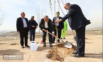 بهره‌برداری از فاز دوم طرح جنگلکاری کمربند سبز 14