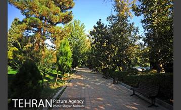 بوستان هنرمندان (ایرانشهر) 3