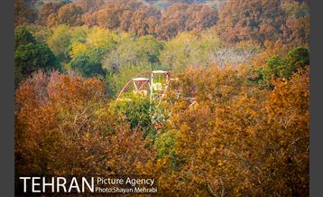 پاییز پارک شهر 2