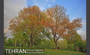 بوستان ملت 27