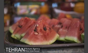 شب چله در مددسرای بانوان آفتاب نیلوفری 15