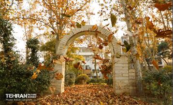 گذرگاه های پاییزی پایتخت - منطقه 13