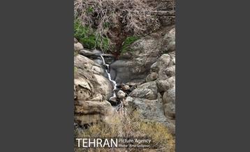 وردیج ، دنیایی از زیبایی 7