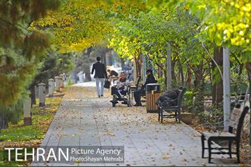 طبیعت پاییزی بلوار کشاورز 16