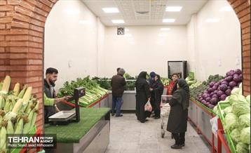 افتتاح ۱۰ بازار میوه و تره بار 9