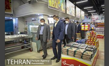 بازدید عضو شورای اسلامی شهر تهران از پروژه های منطقه 11