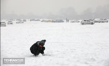 بارش برف در تهران 9