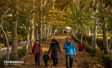 سمفونی رنگ های پاییزی - پارک لاله 16