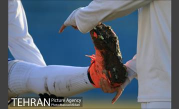 دیدار تیم های آذرخش تهران و ملوان بندر انزلی 1