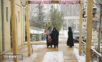 جشن «عطر ریحان» 2