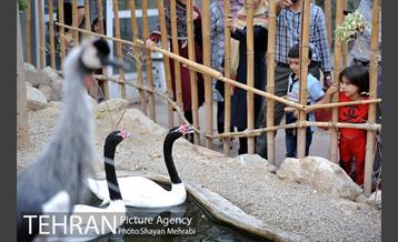 باغ پرندگان تهران 23