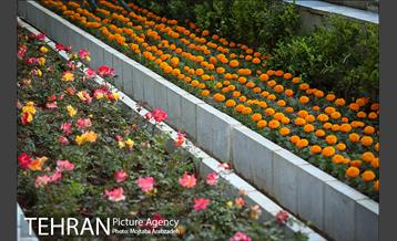 گلکاری در خیابان ولیعصر 17