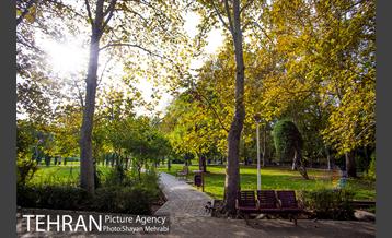 پاییز بوستان لاله 24