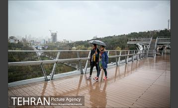 بارش باران بهاری در تهران 28