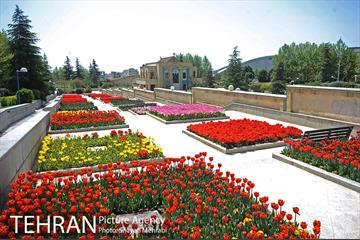 رویش گل های لاله در بوستان گفتگو 12