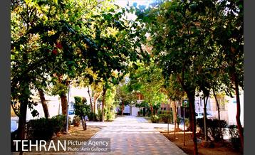 محله نازی آباد 32