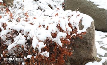 روز برفی در آبشار تهران 16