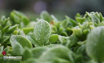 یک روز پاییزی در منطقه 22 17