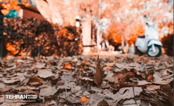 گذرگاه های پاییزی پایتخت - منطقه 9