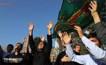 راهپیمایی یاران مهدی(عج)، یاوران رهبری 2