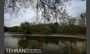 باغ گیاه‌شناسی ملی ایران 7