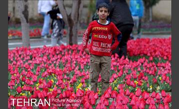 جشنواره لاله‌ها در بوستان زندگی محله هرندی 6