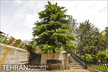 بوستان نیاوران 15