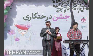 درختکاری و لانه گذاری کبوتر در بوستان بعثت 5