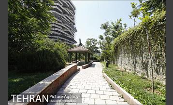 بوستان تندرستی 13