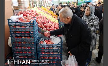 بازدید شهردار تهران از بازار میوه و تره بار جلال آل احمد 12