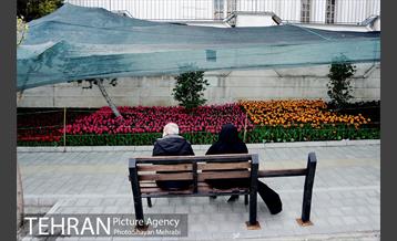 پیاده راه لاله مادران 52