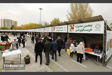 پنجمین جشنواره خرمالوی کن 2