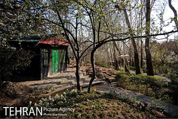 بوستان جمشیدیه (باغ سنگی جمشیدیه) 17