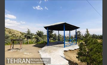 بوستان جنگلی کوهسار 18