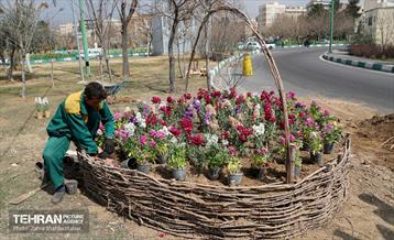 طرح استقبال از بهار 77